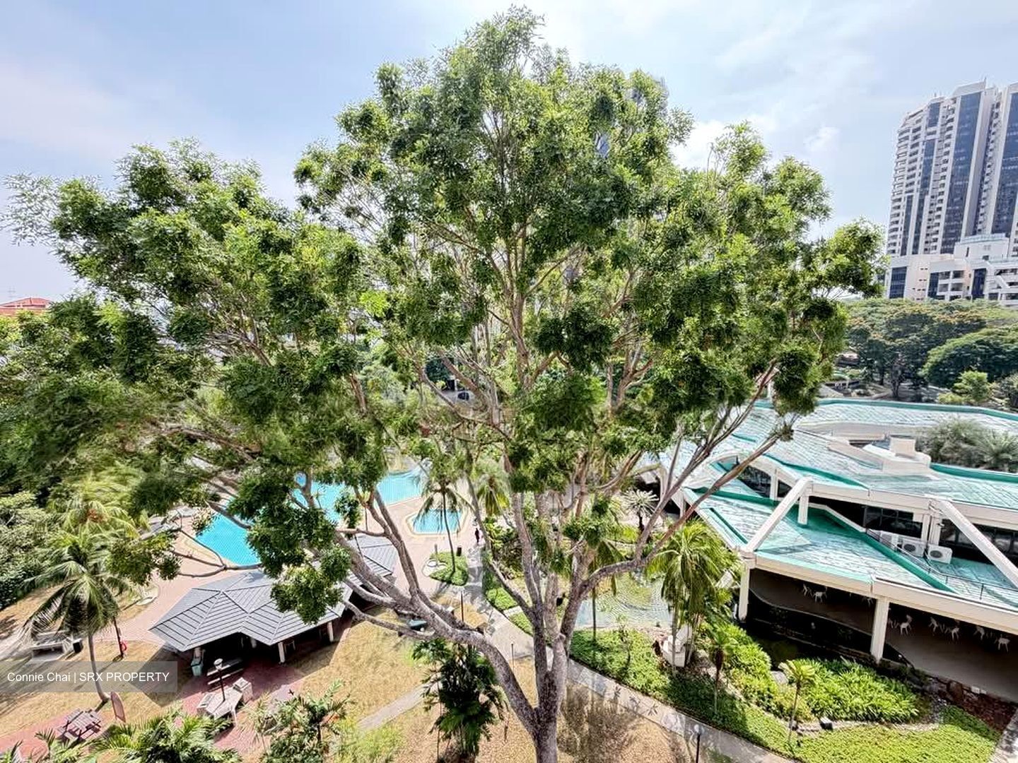 Bayshore Park (D16), Condominium #542611341